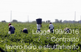 Legge 29 ottobre 2016, n. 199 Legge 29 ottobre 2016, n. 199