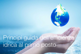Raccomandazione (UE) 2025/1179 - Principi guida dell’efficienza idrica al primo posto