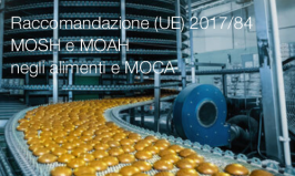 Raccomandazione (UE) 2017/84