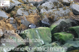 Linee guida analisi di sostanze prioritarie in matrici marine Linee guida analisi di sostanze prioritarie in matrici marine