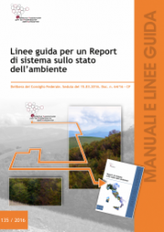 Linee guida per un report di sistema sullo stato dell'ambiente Linee guida per un report di sistema sullo stato dell'ambiente