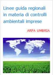 Linee guida regionali in materia di controlli ambientali sulle imprese Linee guida regionali in materia di controlli ambientali sulle imprese
