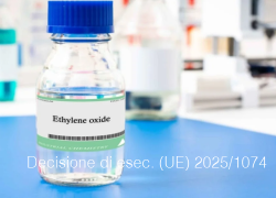 Decisione di esecuzione (UE) 2025/1074 