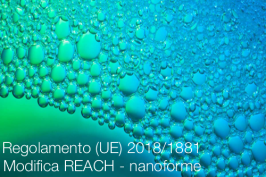 Regolamento (UE) 2018/1881 Regolamento (UE) 2018/1881