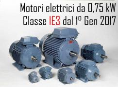 Motori elettrici da 0,75 kW: Dal 1 Gennaio 2017 Classe IE3 Motori elettrici da 0,75 kW: Dal 1 Gennaio 2017 Classe IE3