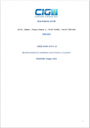 Linee Guida CIG n.22 - Quantificazione dei consumi nei casi di perdite localizzate