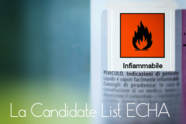 Candidate list ECHA: Sostanze estremamente preoccupanti SVHC