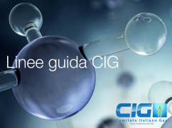 Linee guida CIG Linee guida CIG