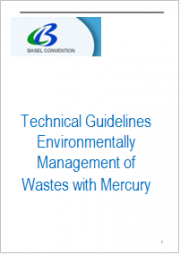 Technical Guidelines Environmentally Management of Wastes with Mercury Technical Guidelines Environmentally Management of Wastes with Mercury