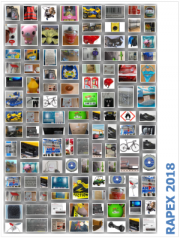 RAPEX: Report annuale Certifico 2018