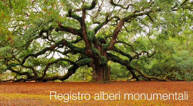 Decreto 23 Ottobre 2014 Registro alberi monumentali Decreto 23 Ottobre 2014 Registro alberi monumentali
