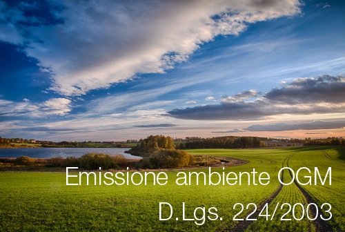 Emissione ambiente OGM dlgs 224 2003 Emissione ambiente OGM dlgs 224 2003