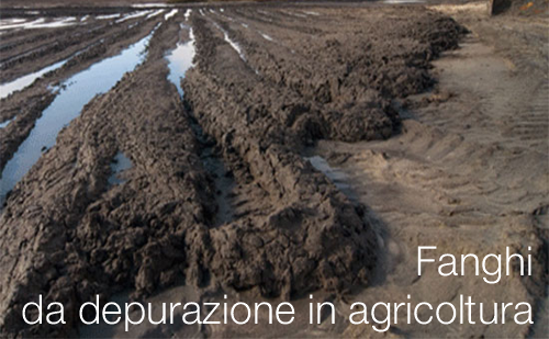 Fanghi da depurazione in agricoltura Fanghi da depurazione in agricoltura