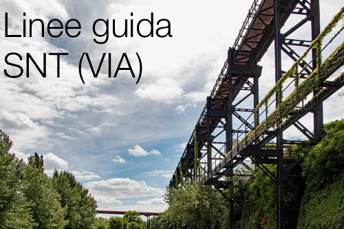 Linne guida SNT Linne guida SNT