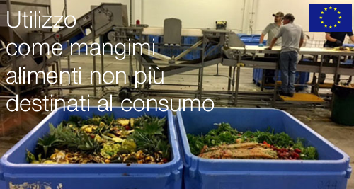 Orientamenti ultilizzo come mangimi alimenti non pi destinati consumo umano Orientamenti ultilizzo come mangimi alimenti non pi destinati consumo umano
