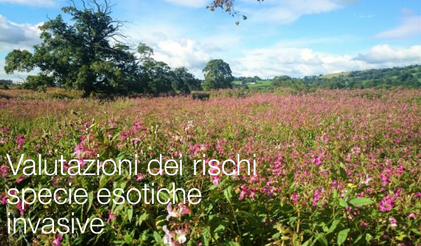 RegolamentO 2018 968 RegolamentO 2018 968