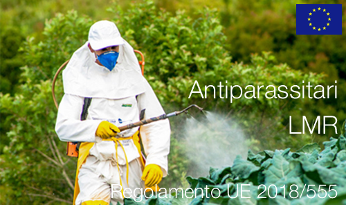 Regolamento 2018 555 Regolamento 2018 555