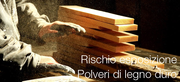 Rischio esposizione polveri legno duro Rischio esposizione polveri legno duro