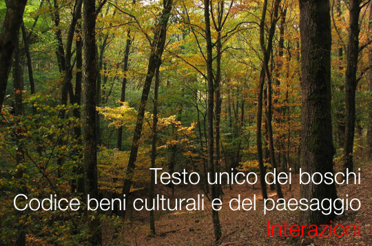 Testo unico boschi codice beni culturali paesaggio Testo unico boschi codice beni culturali paesaggio