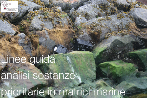 analisi matrici marine analisi matrici marine