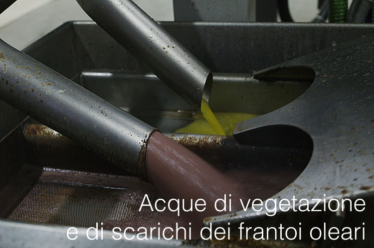 Acque di vegetazione e di scarichi dei frantoi oleari Acque di vegetazione e di scarichi dei frantoi oleari