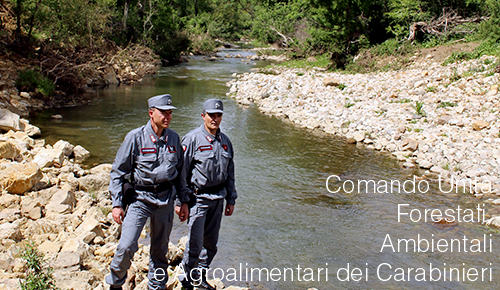 Comando Unit forestali ambientali agoalimentari Carabinieri Comando Unit forestali ambientali agoalimentari Carabinieri