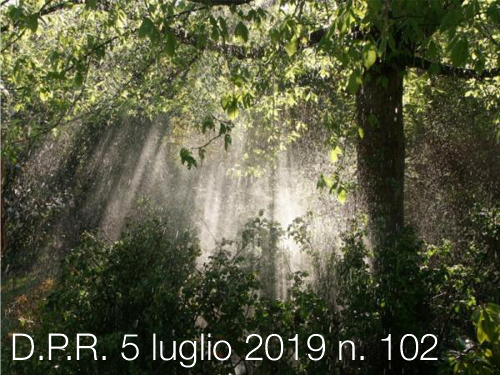 D P R 5 luglio 2019 n 102 D P R 5 luglio 2019 n 102