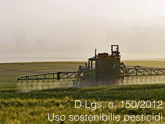 D lgs 14 agosto 2012 n 150 D lgs 14 agosto 2012 n 150