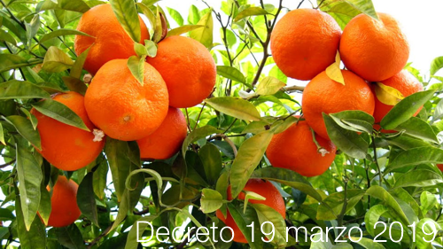 Decreto 19 marzo 2019 Decreto 19 marzo 2019