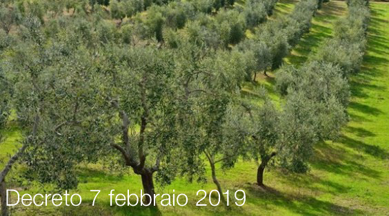 Decreto 7 febbraio 2019 Decreto 7 febbraio 2019