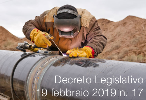 Decreto Legislativo 19 febbraio 2019 n 17 Decreto Legislativo 19 febbraio 2019 n 17