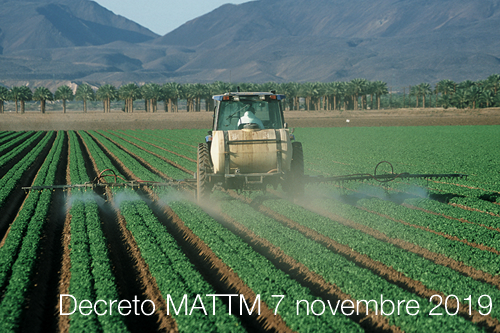 Decreto MATTM 7 novembre 2019 Decreto MATTM 7 novembre 2019