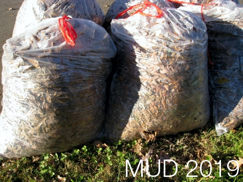 MUD 2019 MUD 2019