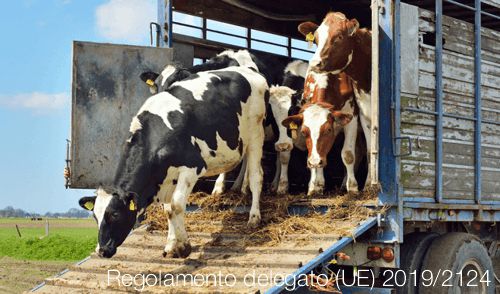 Regolamento delegato UE 2019 2124 Regolamento delegato UE 2019 2124