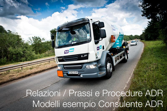 Relazioni Prassi e Procedure ADR Modelli esempio Consulente ADR Relazioni Prassi e Procedure ADR Modelli esempio Consulente ADR