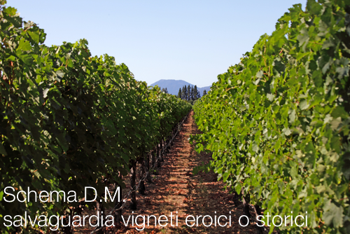 Schema D M salvaguardia dei vigneti eroici o storici Schema D M salvaguardia dei vigneti eroici o storici
