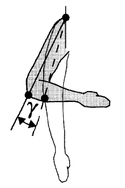 UNI ISO 11226 08 UNI ISO 11226 08