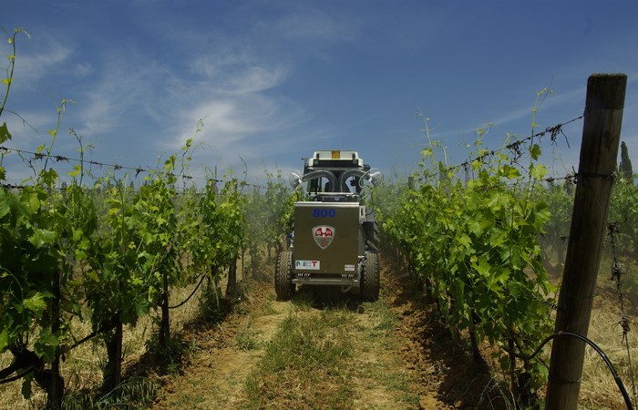 Agricoltura Agricoltura