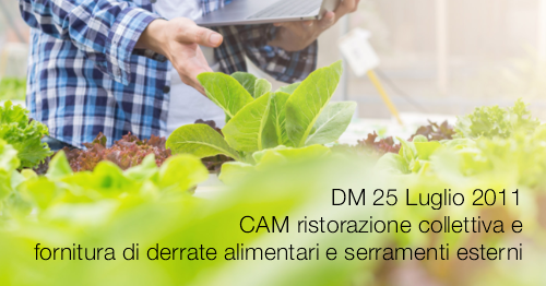 DM 25 lugio 2011 DM 25 lugio 2011