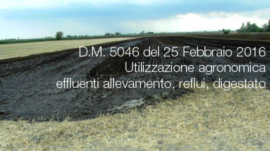 DM n 5046 del 25 Febbraio 2016 DM n 5046 del 25 Febbraio 2016