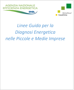 Linee guida diagnosi energetica PMI