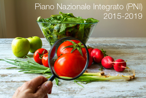 Piano Nazionale Integrato PNI 2015 2019 Piano Nazionale Integrato PNI 2015 2019
