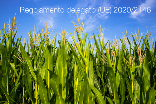 Regolamento delegato UE 2020 2146 Regolamento delegato UE 2020 2146