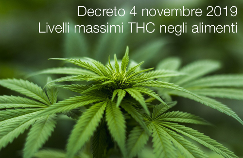 livelli massimi di tetraidrocannabinolo livelli massimi di tetraidrocannabinolo