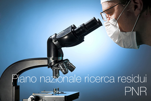 Piano nazionale per la ricerca dei residui PNR Piano nazionale per la ricerca dei residui PNR