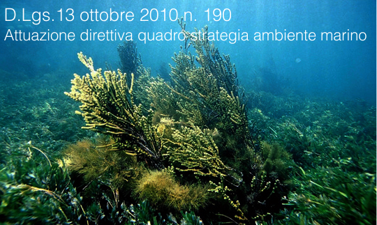 D Lgs 13 ottobre 2010 n 190 D Lgs 13 ottobre 2010 n 190