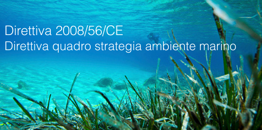 Direttiva 2008 56 CE Direttiva 2008 56 CE