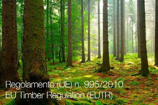 EU Timber Regulation EUTR EU Timber Regulation EUTR