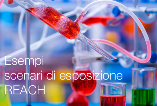 Esempi scenari di esposizione REACH Esempi scenari di esposizione REACH