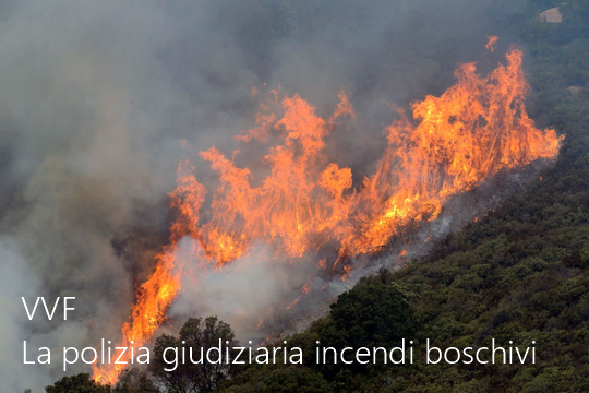 La polizia giudiziaria VVF negli incendi boschivi La polizia giudiziaria VVF negli incendi boschivi
